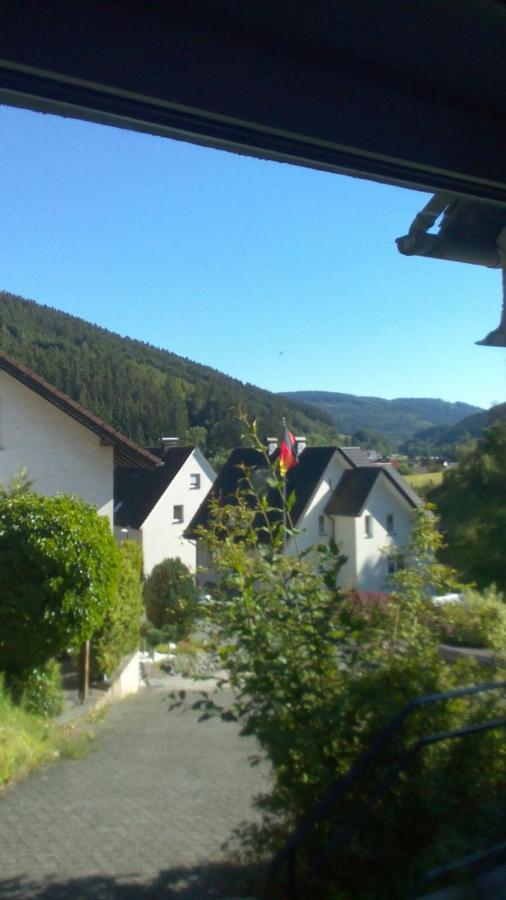 Fewo Pacohaus Naehe Willingen Diemelsee 布里隆 外观 照片