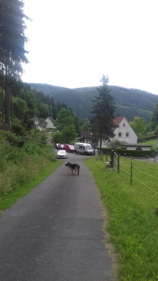 Fewo Pacohaus Naehe Willingen Diemelsee 布里隆 外观 照片