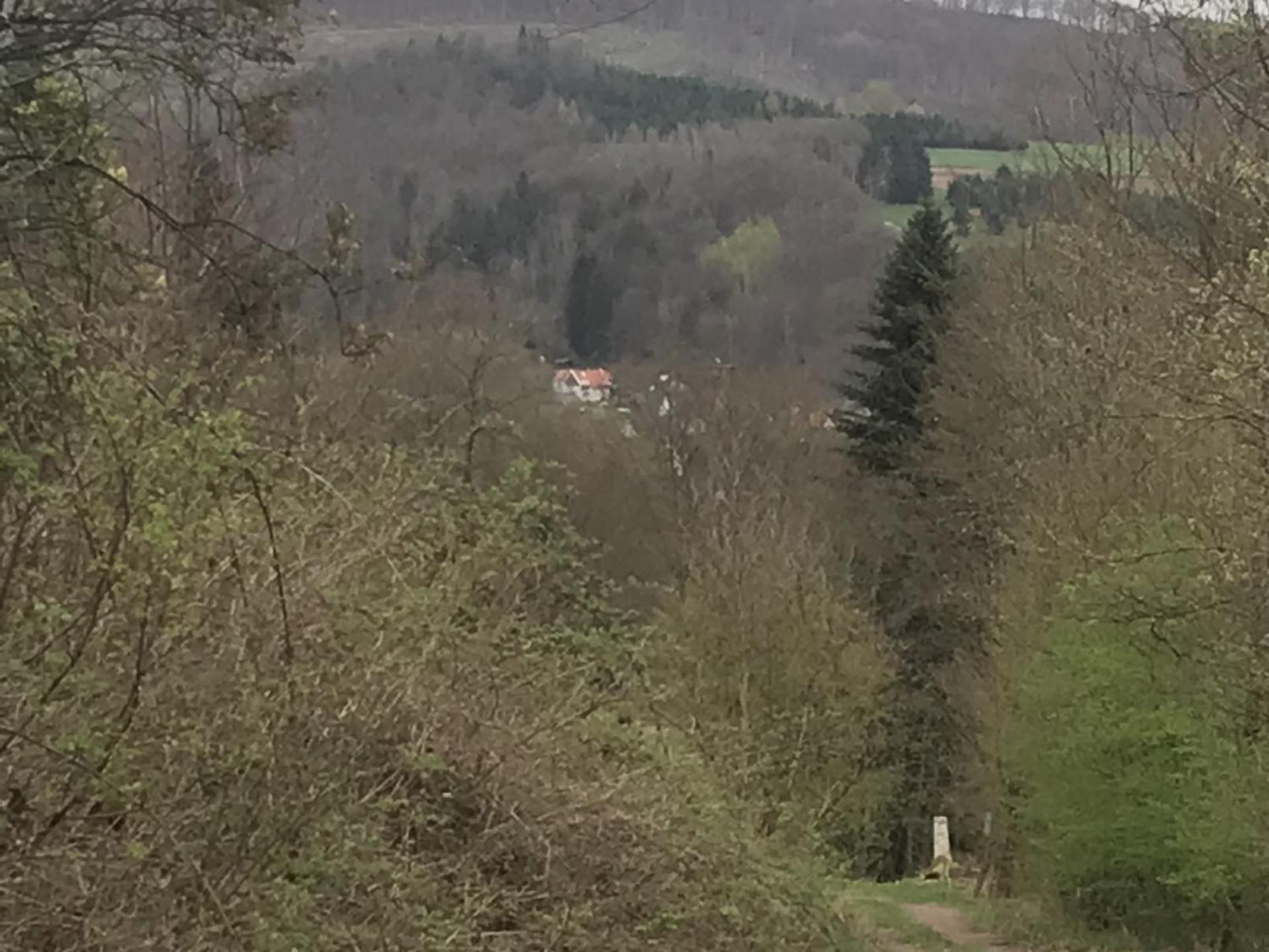 Fewo Pacohaus Naehe Willingen Diemelsee 布里隆 外观 照片